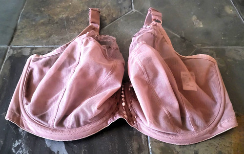 Reggiseno tuffo 34k elomi - reggiseno,